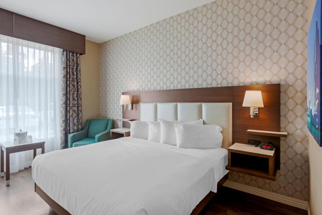 Best Western Plus St. John'S Airport Hotel And Suites Εξωτερικό φωτογραφία